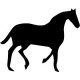 Horse Decal