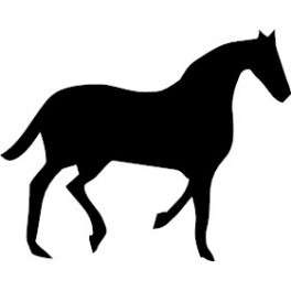 Horse Decal