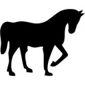 Horse Decal