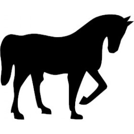 Horse Decal