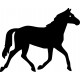 Horse Decal