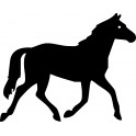 Horse Decal