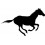 Horse Decal