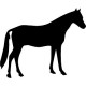 Horse Decal