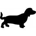 dog decal